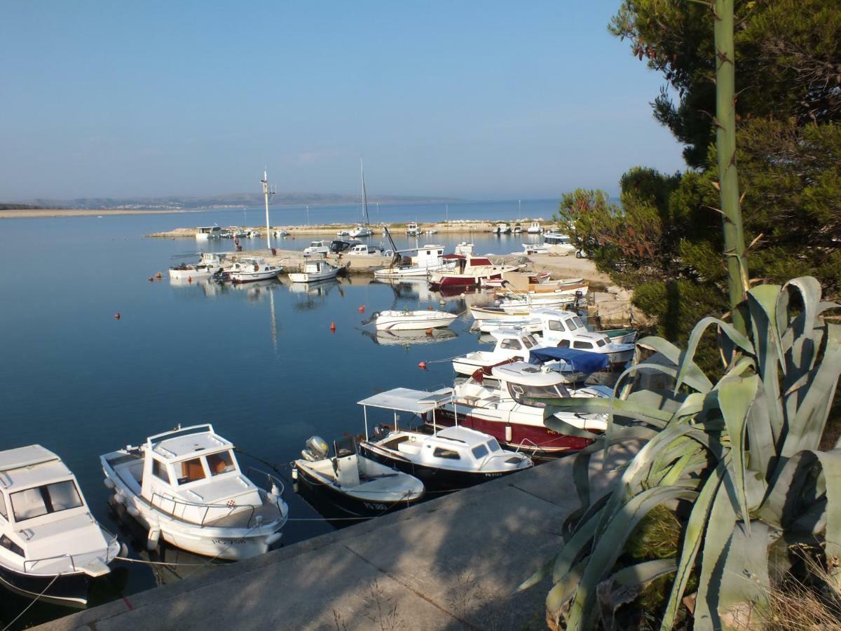 Apartment Jurja Povljana Εξωτερικό φωτογραφία