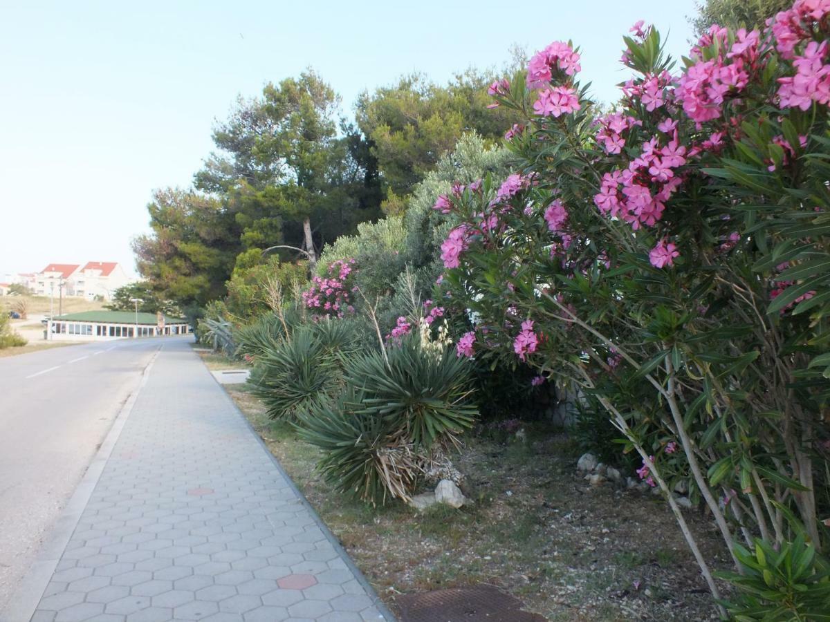 Apartment Jurja Povljana Εξωτερικό φωτογραφία
